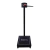 Balança Antropométrica W300A 300kg Preta - Welmy - comprar online