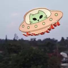 Presilha alienígena