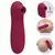 Vibrador Sugador Pulsação 10 Variações Woman Suction Vipmix - comprar online