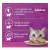 WHISKAS LATA FRANGO PATE 290G - Mascote Urbano