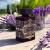 Lattafa Bade'e Al Oud Amethyst EDP Unissex 100ml.