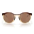 Lente de Sol Oakley OO9242/924207 - 52