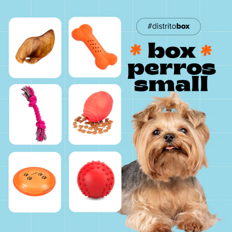 BOX DE ENTRETENIMIENTO PARA PERROS ADULTOS Y CACHORROS SMALL