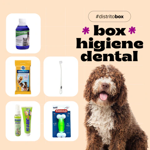 BOX HIGIENE DENTAL