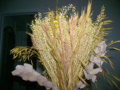 Sony Cybershot DSC-500