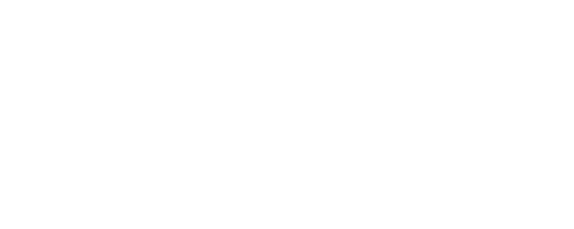 D'ORO  ITALIAN IMPORT
