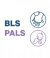 BLS-PALS - comprar en línea