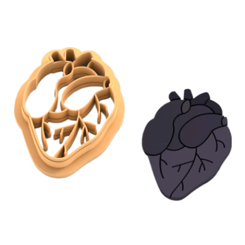 Corazon Anatomico - comprar online