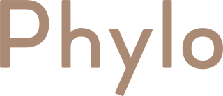Phylo