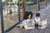 Slide N Go Dollhouse - comprar online