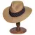 Sombrero Indiana Shark CNegraFlor - buy online