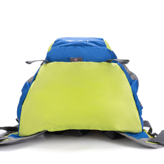 Mochila Camping Alpine Skate Azul y Verde 27236
