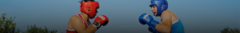 Banner de la categoría Proteccion y Defensa