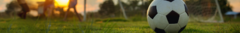 Banner de la categoría Pelotas