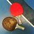 Paleta De Ping Pong 3 Estrellas Sensei Linea Profesional - Warriors Deportes