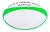 Pelota De Rugby N° 5 Entrenamiento Profesional Oficial Color - Warriors Deportes