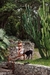 Top Biquini Honey Marrom - loja online