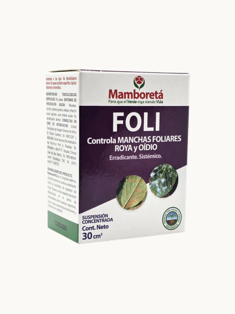 Mamboreta Foli - comprar online