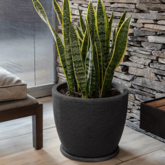 Andina Rústica Rotomoldeada - tienda online