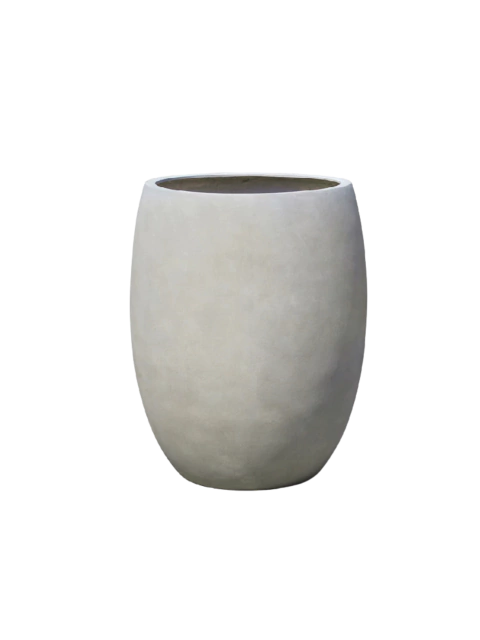 Plantago - comprar online