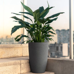 Inca Rústica Rotomoldeada - tienda online