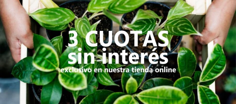 Carrusel Viveros El Botánico