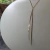 Collar American Eagle (USA) - Impecable - tienda online