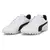 Imagen de OFERTA 2X1 BOTINES | PUMA BORUSSIA & ADIDAS GOLETTO