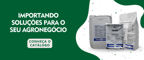 Carrossel 1