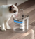 Fuente Dispensador De Agua Para Gatos Perros Bebedero Electrico - comprar online