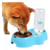 Dispensador De Comida Para Gato Fuente De Agua Plato Perro