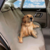 Imagen de Cubre Asiento Para Perros Funda Protectora Auto Mascotas