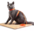 Arnes Para Gatos Ajustable Correa Anti Escape Arnes Gato - comprar online