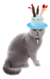 Disfraz Para Mascotas Gorro De Cumpleaños Perros Y Gatos - comprar online