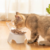 Comedero Plato Individual Comida Agua Para Gatos - comprar online