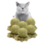 Pack X6 Bola Catnip Para Gatos Juguete Hierba Gatera Snack