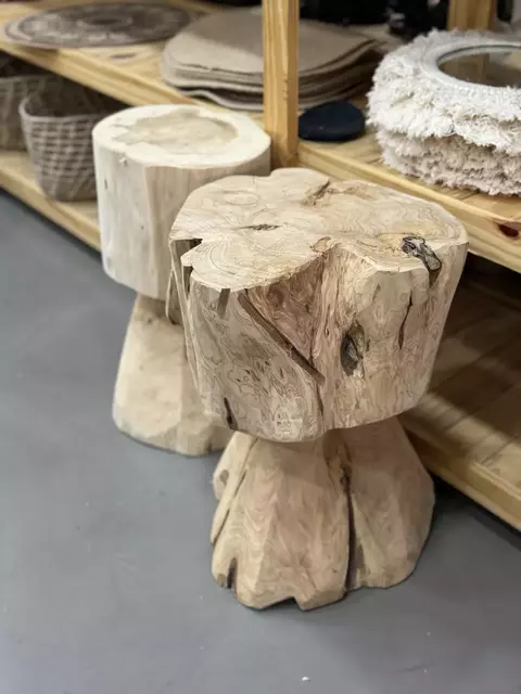 tronco de cipres