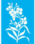 Stencil OPA3358 - Flor Erysimum - 20X25 cm