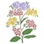 Stencil Litoarte STXX 036 - Florzinhas- 20X20 cm - comprar online