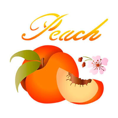 Stencil Litoarte STM 528 - Peach Pêssego - 17X21 cm
