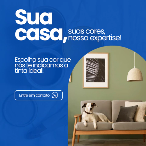 Carrossel 1