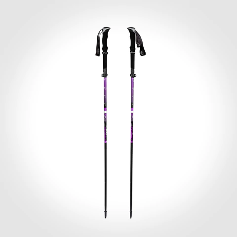 BASTONES Z-COMPACT SE COMPOSITE X2 CARBON / PAR - comprar online