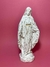 Nossa Senhora das Graças Tradicional 25 cm