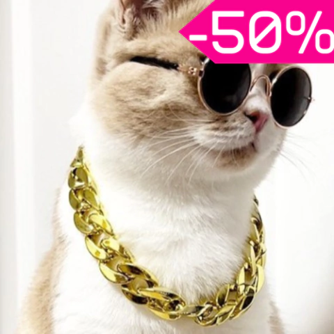 Collar para gatos en cadena dorada o estilo esclavita, perfecto para darle a tu michi un toque de lujo o redención, ideal para fotos. Con gatito y sus lentes.