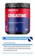 Creatina Monohidrato Premium 300g - Mervick - comprar online