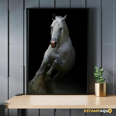 Quadro MDF - Cavalo Branco