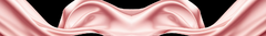 Banner da categoria Linha Premium