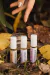 PERFUMES BOTÁNICOS - comprar online