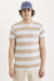 REMERA NEW STRIPE