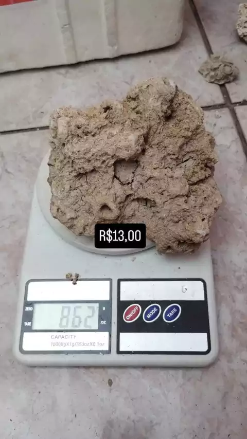 Rocha marinha coral morto / zanzibar - comprar online